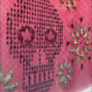 Meet your Posher, Jerald scott